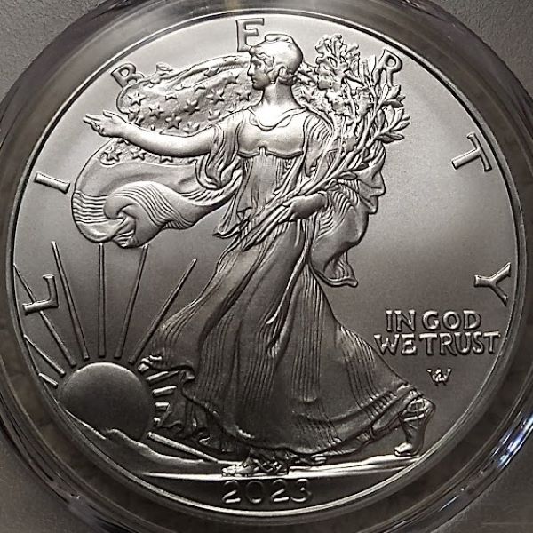 Dearborn's-American-Eagle-Coin-Collection.