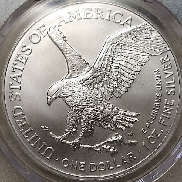 Dearborn's-American-Eagle-Coin-Collection.