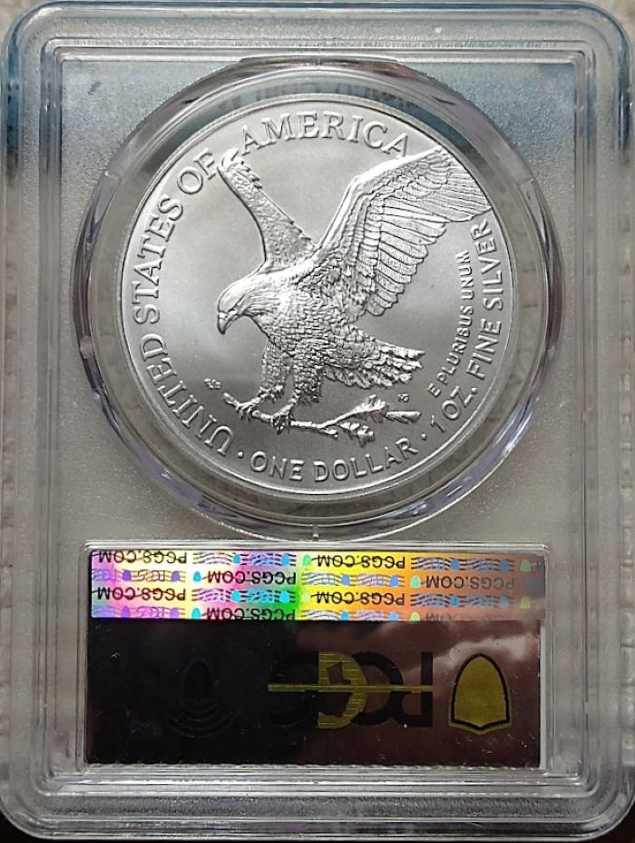 Dearborn's-American-Eagle-Coin-Collection.