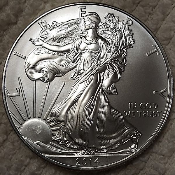 Dearborn's-American-Eagle-Coin-Collection.