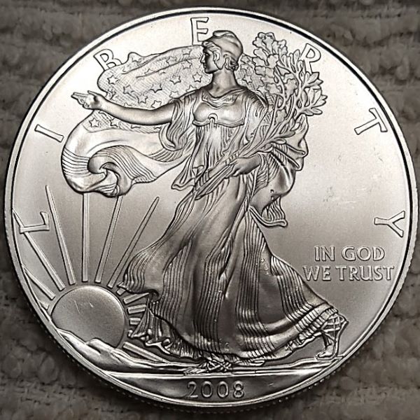 Dearborn's-American-Eagle-Coin-Collection.