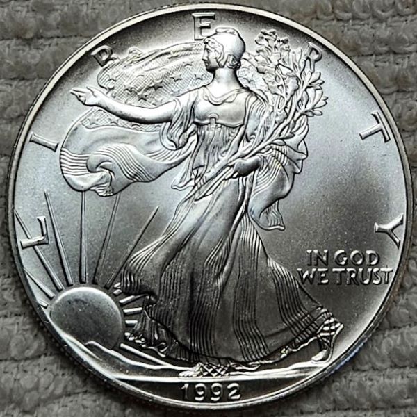 Dearborn's-American-Eagle-Coin-Collection.