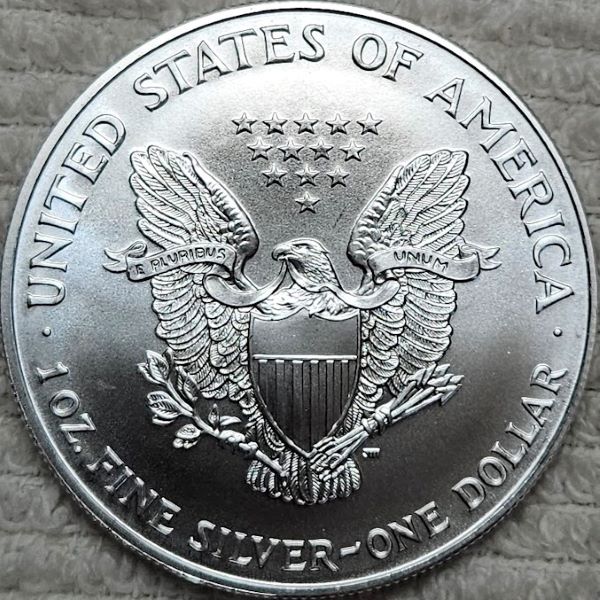 Dearborn's-American-Eagle-Coin-Collection.