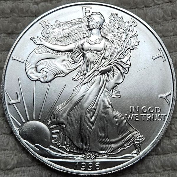 Dearborn's-American-Eagle-Coin-Collection.
