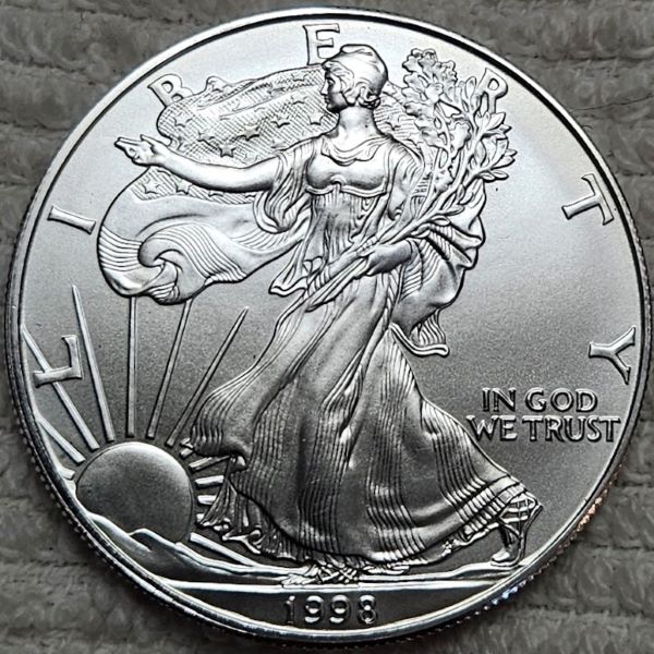 Dearborn's-American-Eagle-Coin-Collection.