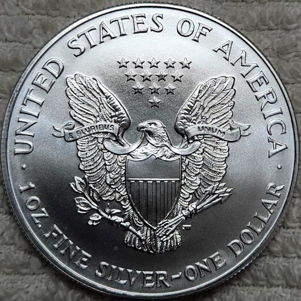 Dearborn's-American-Eagle-Coin-Collection.