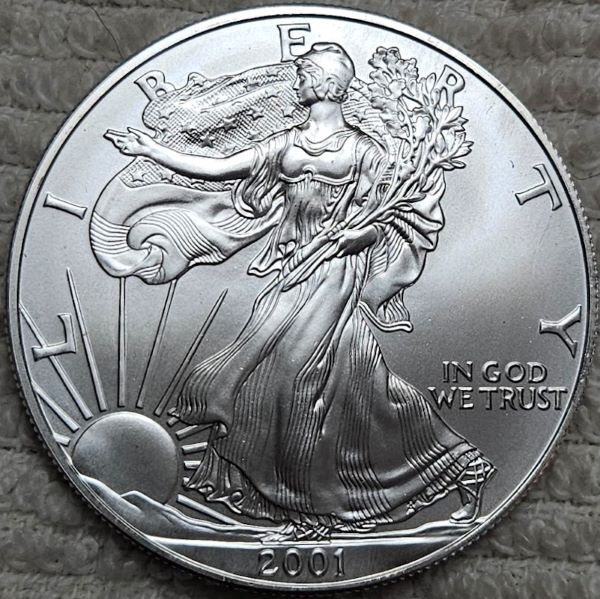 Dearborn's-American-Eagle-Coin-Collection.