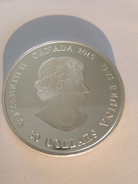 Post-Your-Coins-Depicting-Insects