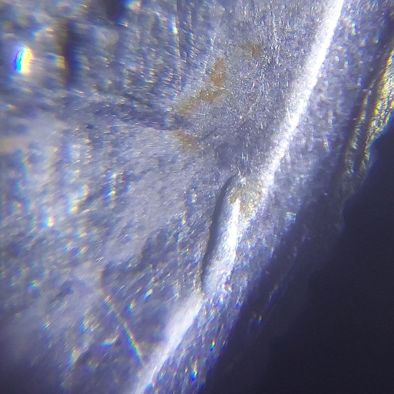 2005-D-Minnesota-Quarter,-What-Is-This?