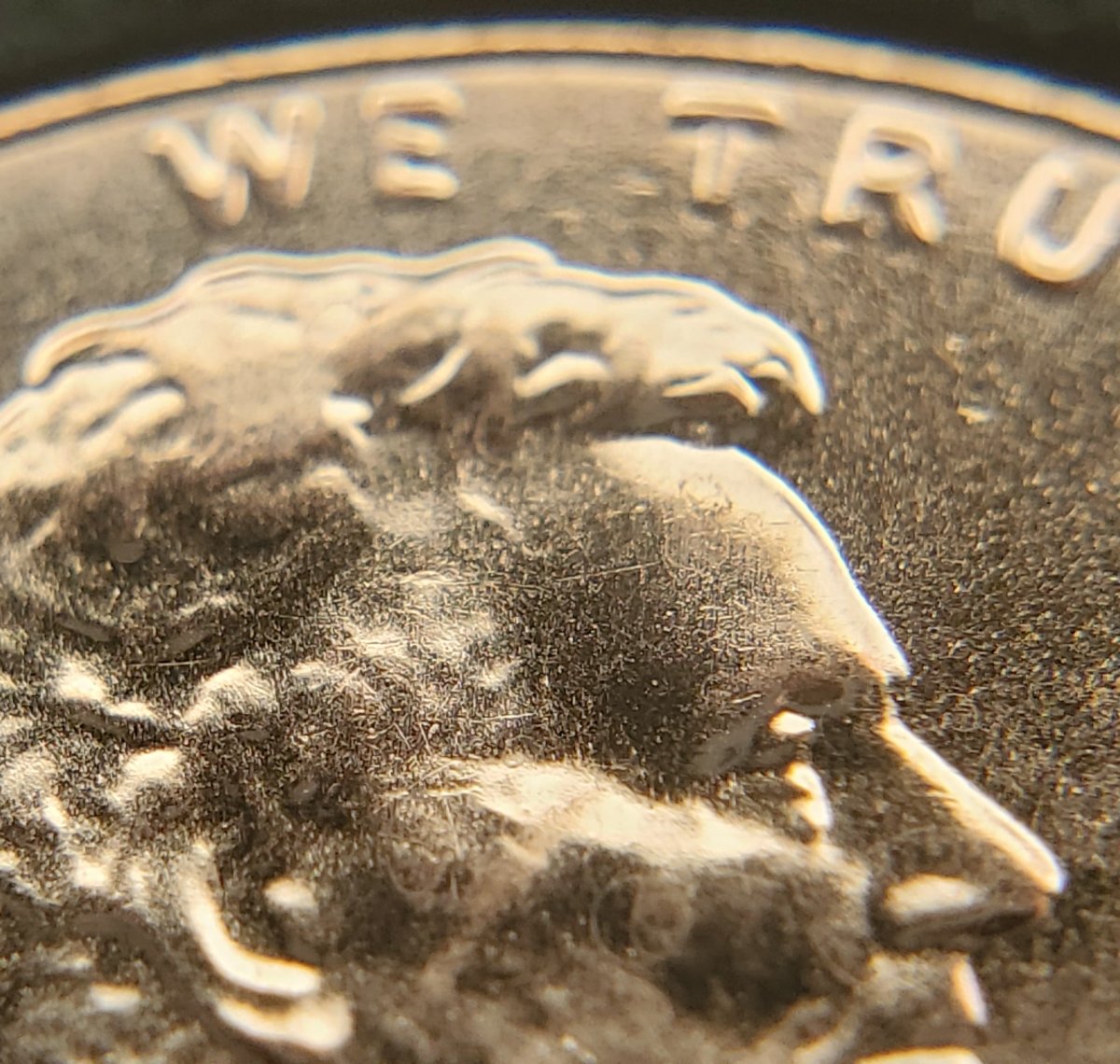 2021-D-Lincoln-Shield-Cent-Possible-DDR?