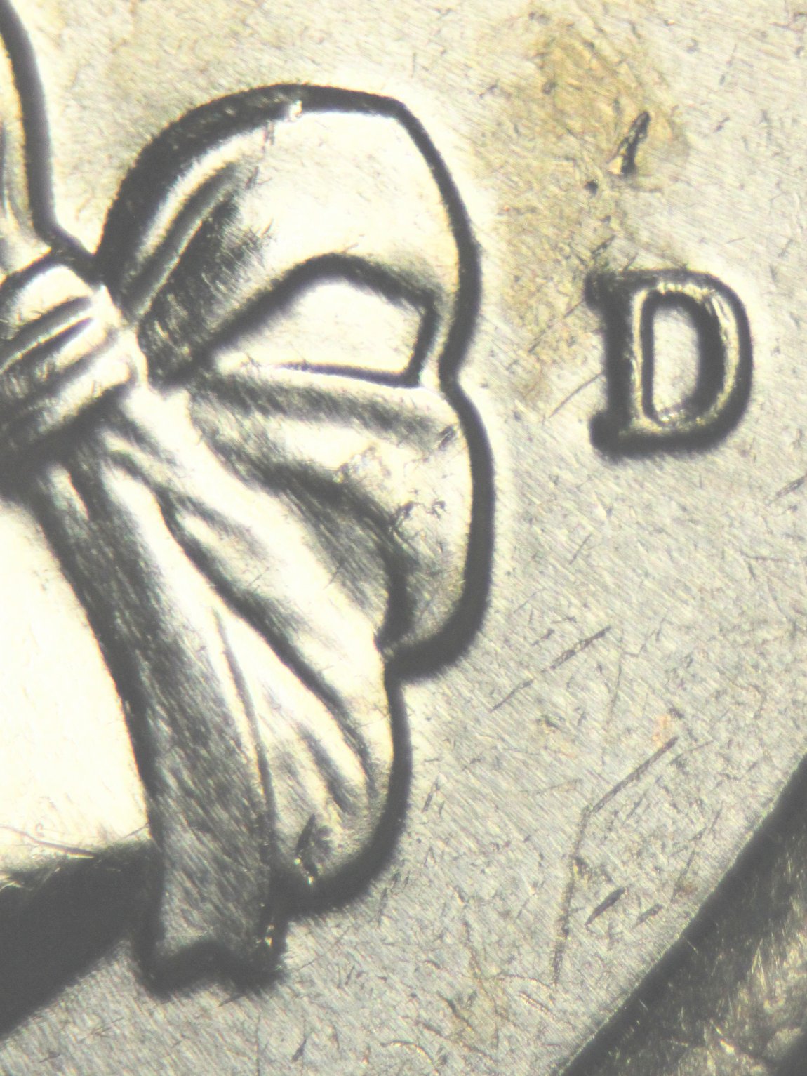 2021-D-Crossing-The-Delaware-Doubled-Ear?