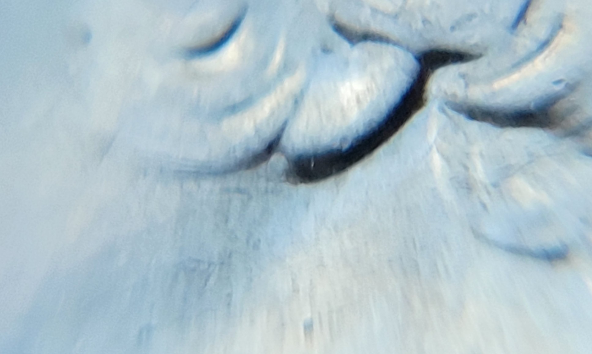 2021-D-Quarter-Ear-Question