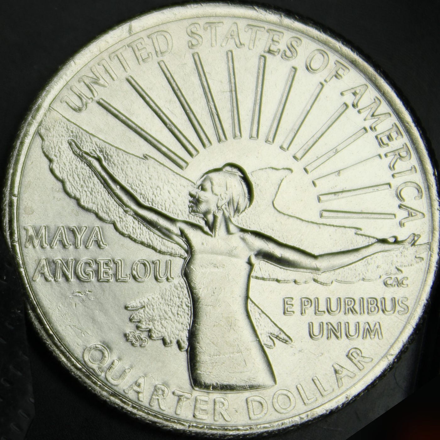 2022-D-Maya-Angelou-Question
