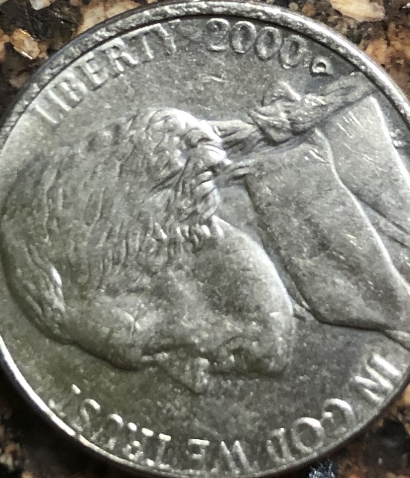 2000-D-Nickel-Thick-Date