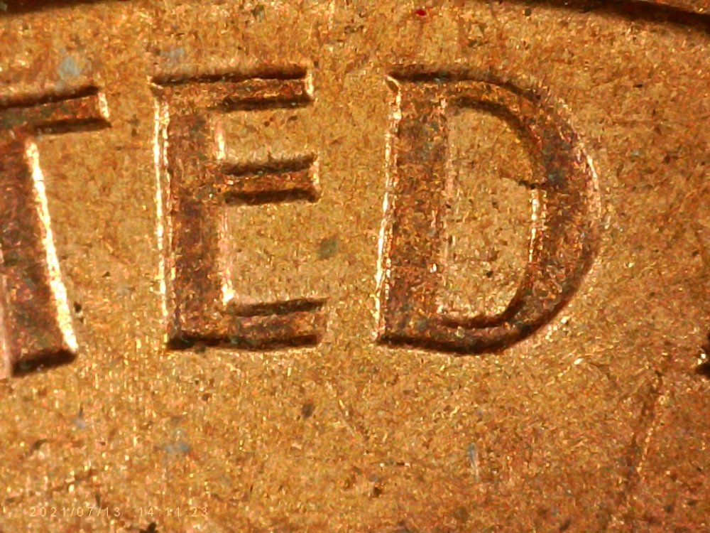 The-Elusive-1966-DDR