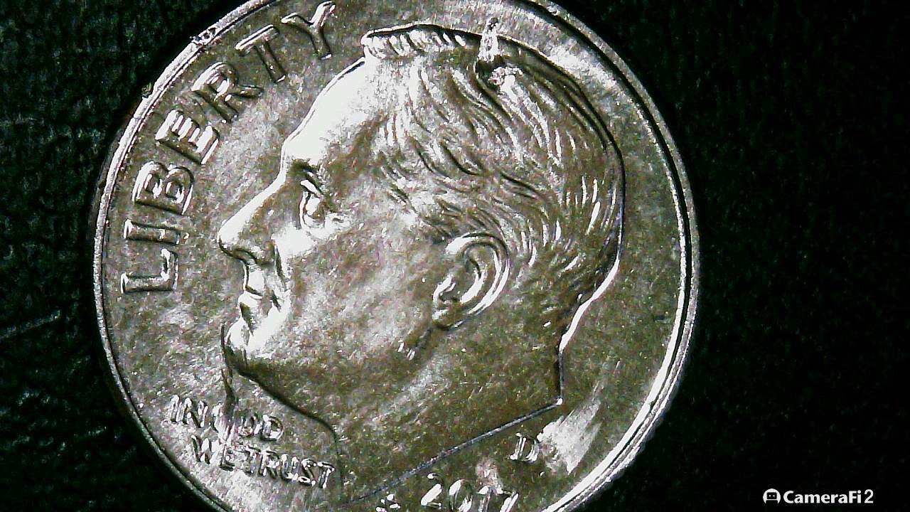 What-Could-Have-Done-This?-2017-D-Dime
