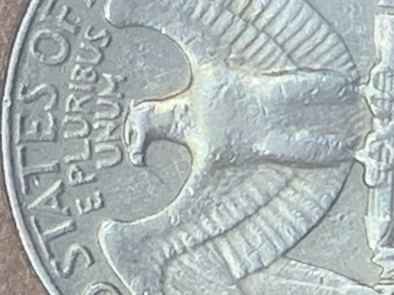 A-Spitting-Eagle-Perhaps?-You-Tell-Me---1982-D-Quarter