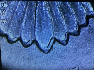 1976-Kennedy-Mechanical-Or-DDR-Error?
