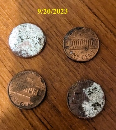 1988?-D-1c-Amazing-Error-Coin-Kidding!