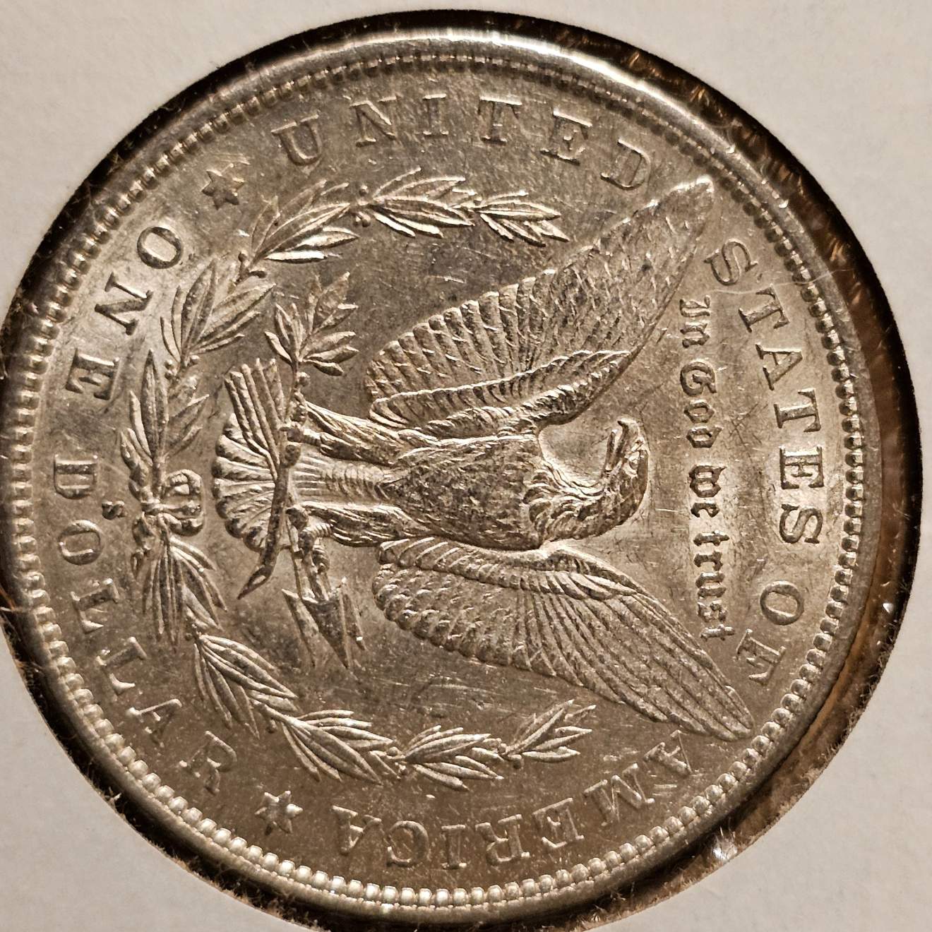 2-Morgan-Dollars-Submitted-For-Grading-Opinions:-1878-And-1879-S
