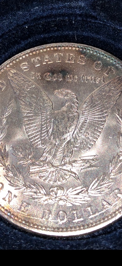 1887-Morgan-Dollar-Newbie-To-This-Forum