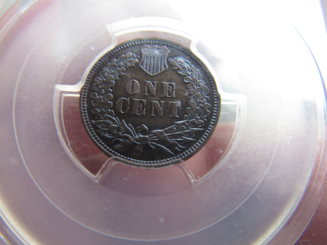 1884-IHP-Proof-64-Brown-PCGS-W-Subtle-Blue-Toning