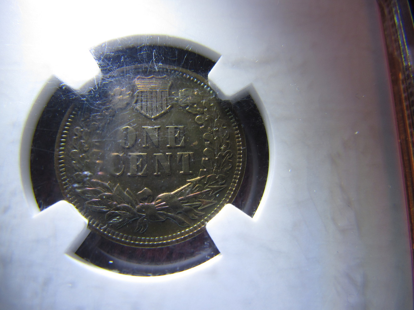 1903-NGC-Indian-Cent-Proof--Brown-New-Photos