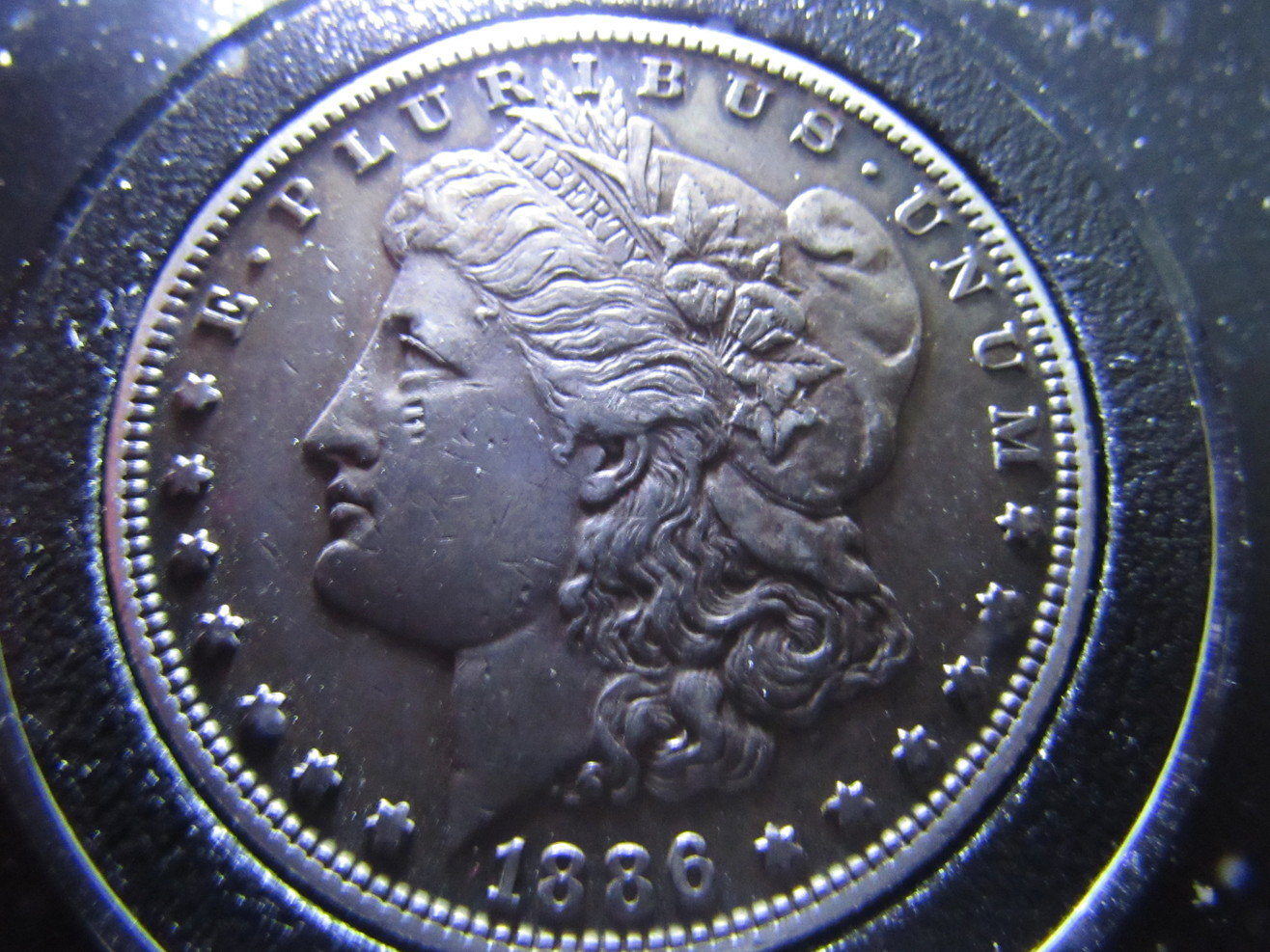 1886-S-Morgan-Dollar-Raw-Grade-Me-Please