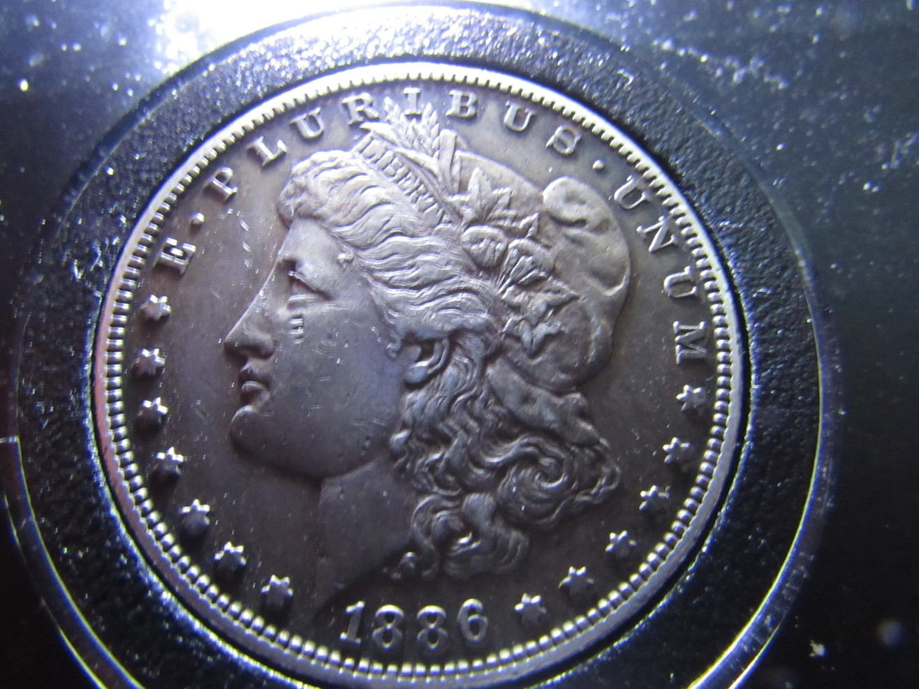 1886-S-Morgan-Dollar-Raw-Grade-Me-Please