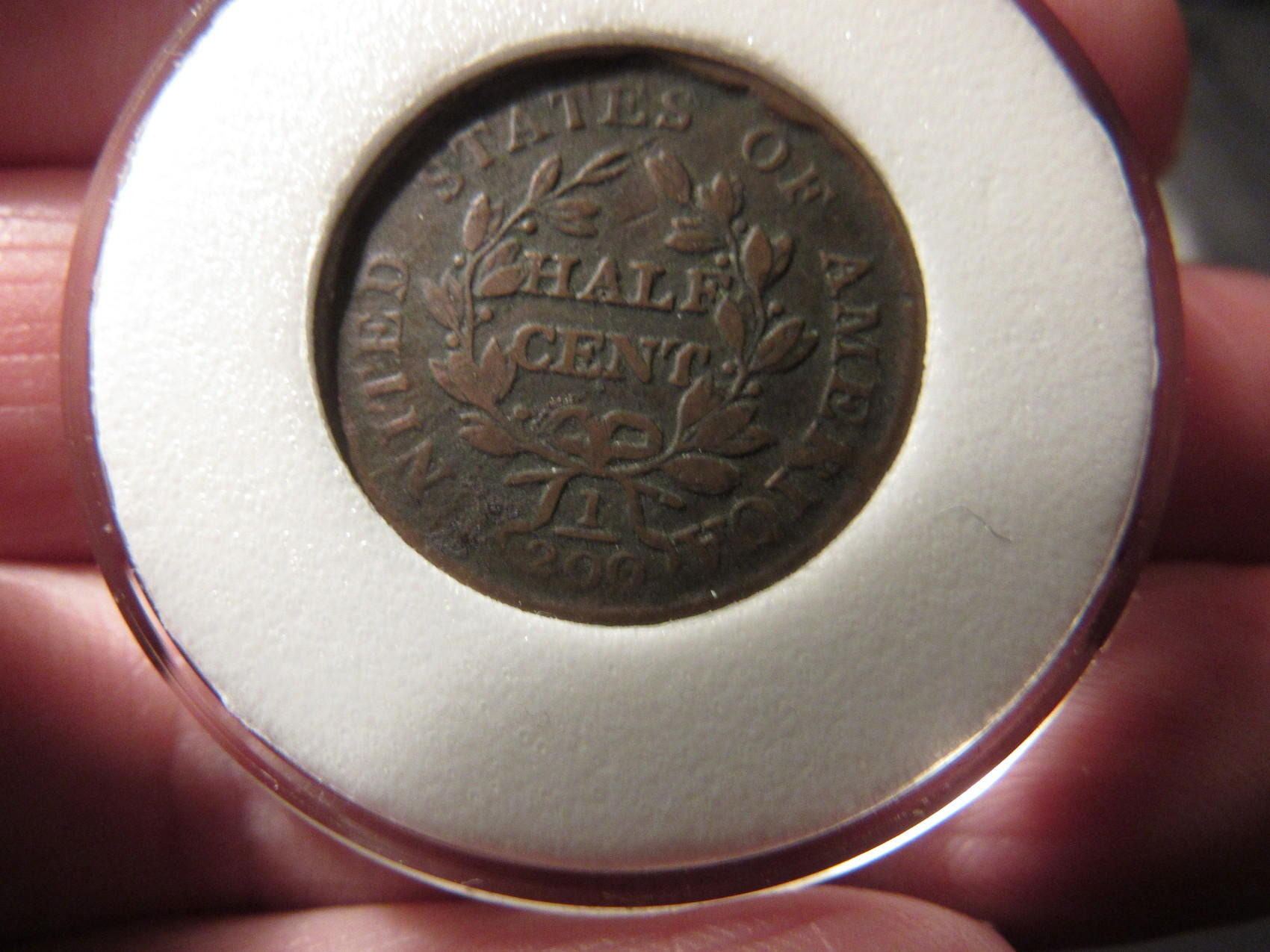 5-Draped-Bust-Half-Cents-Raw-Ungraded
