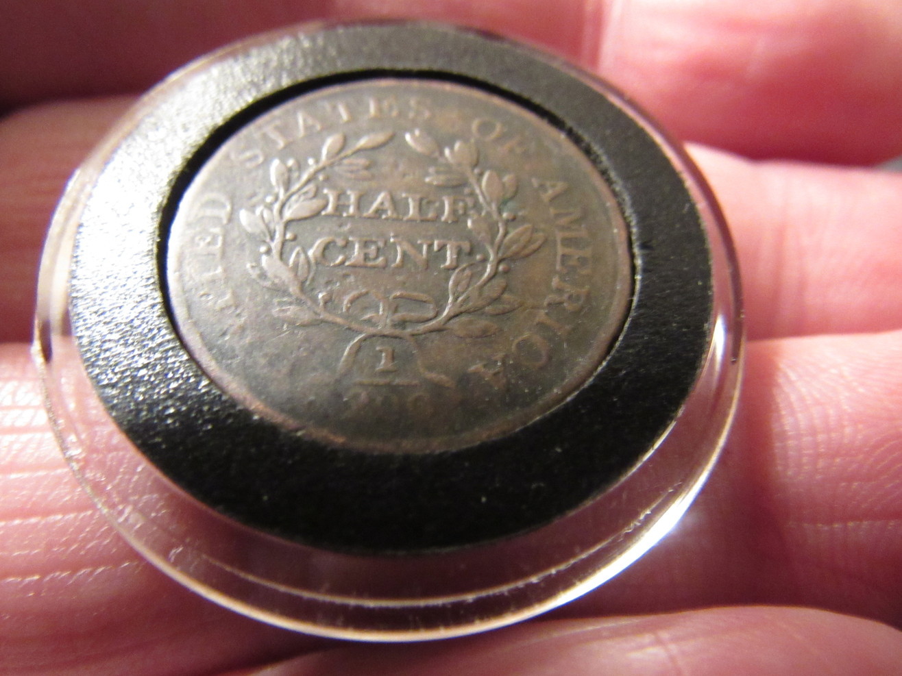 5-Draped-Bust-Half-Cents-Raw-Ungraded