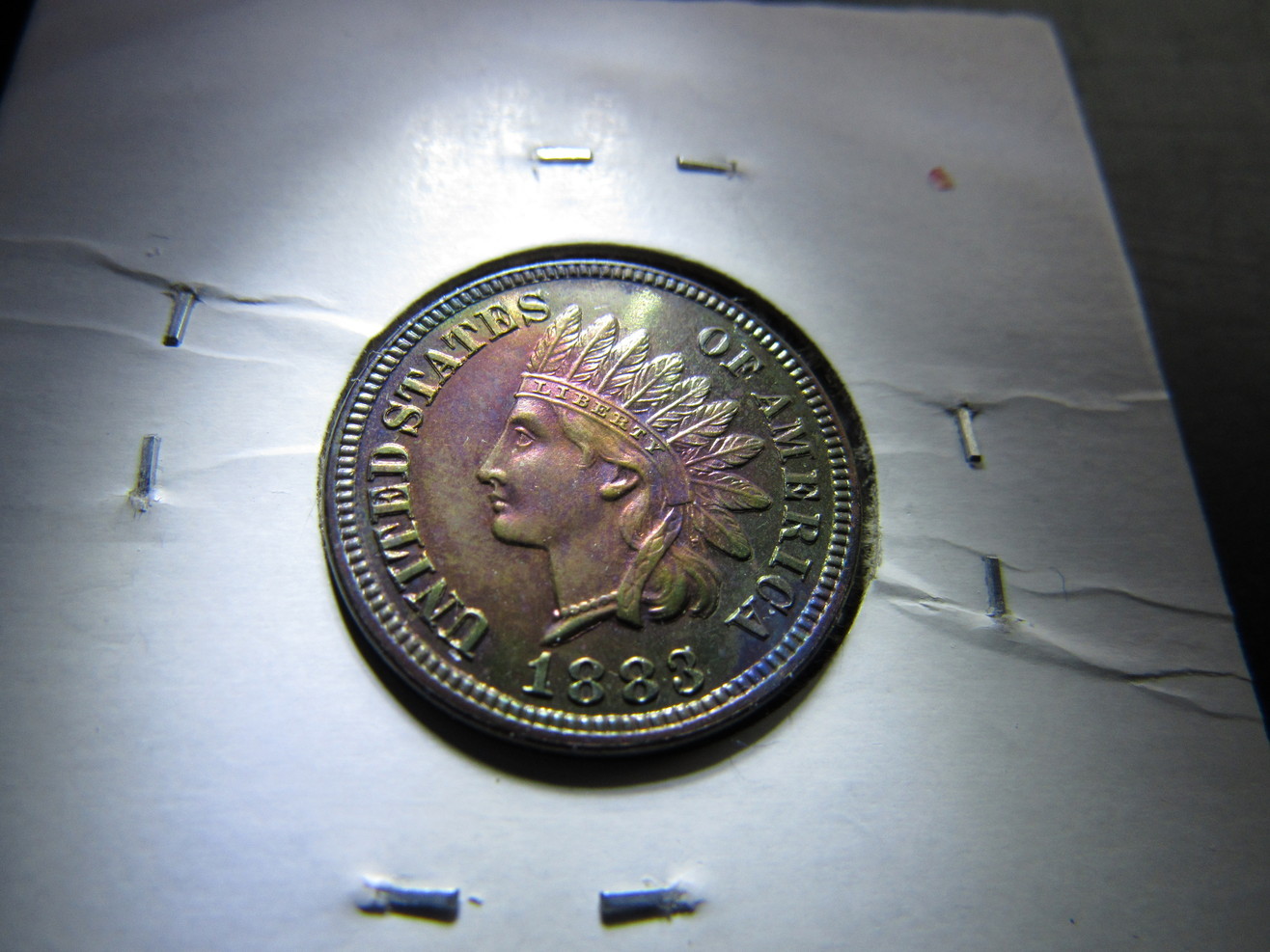 1883-IHP-Proof-Raw-Colorful