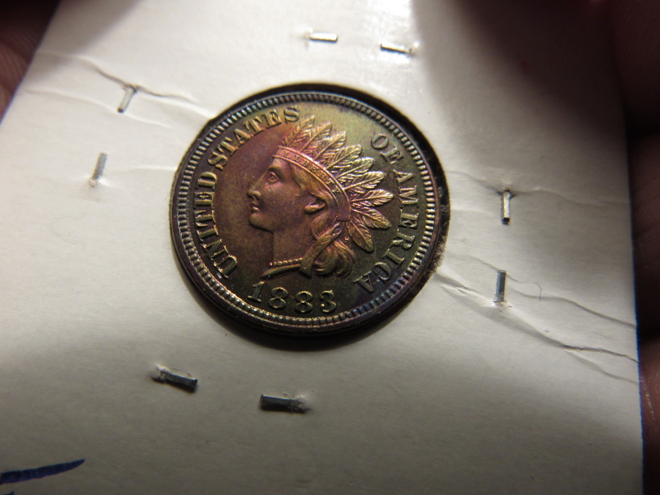 1883-IHP-Proof-Raw-Colorful