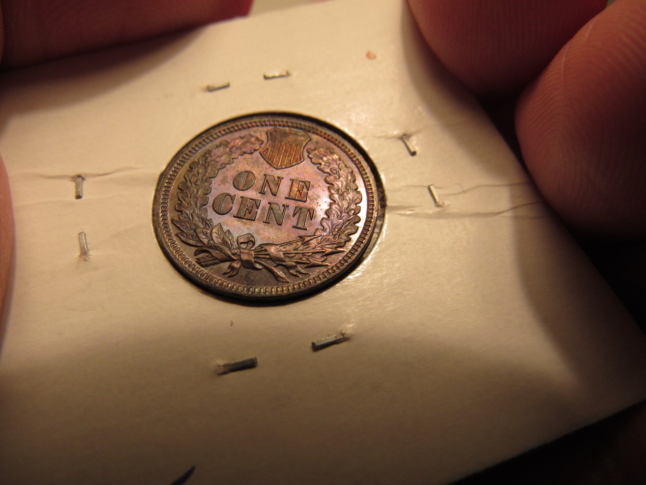 1883-IHP-Proof-Raw-Colorful