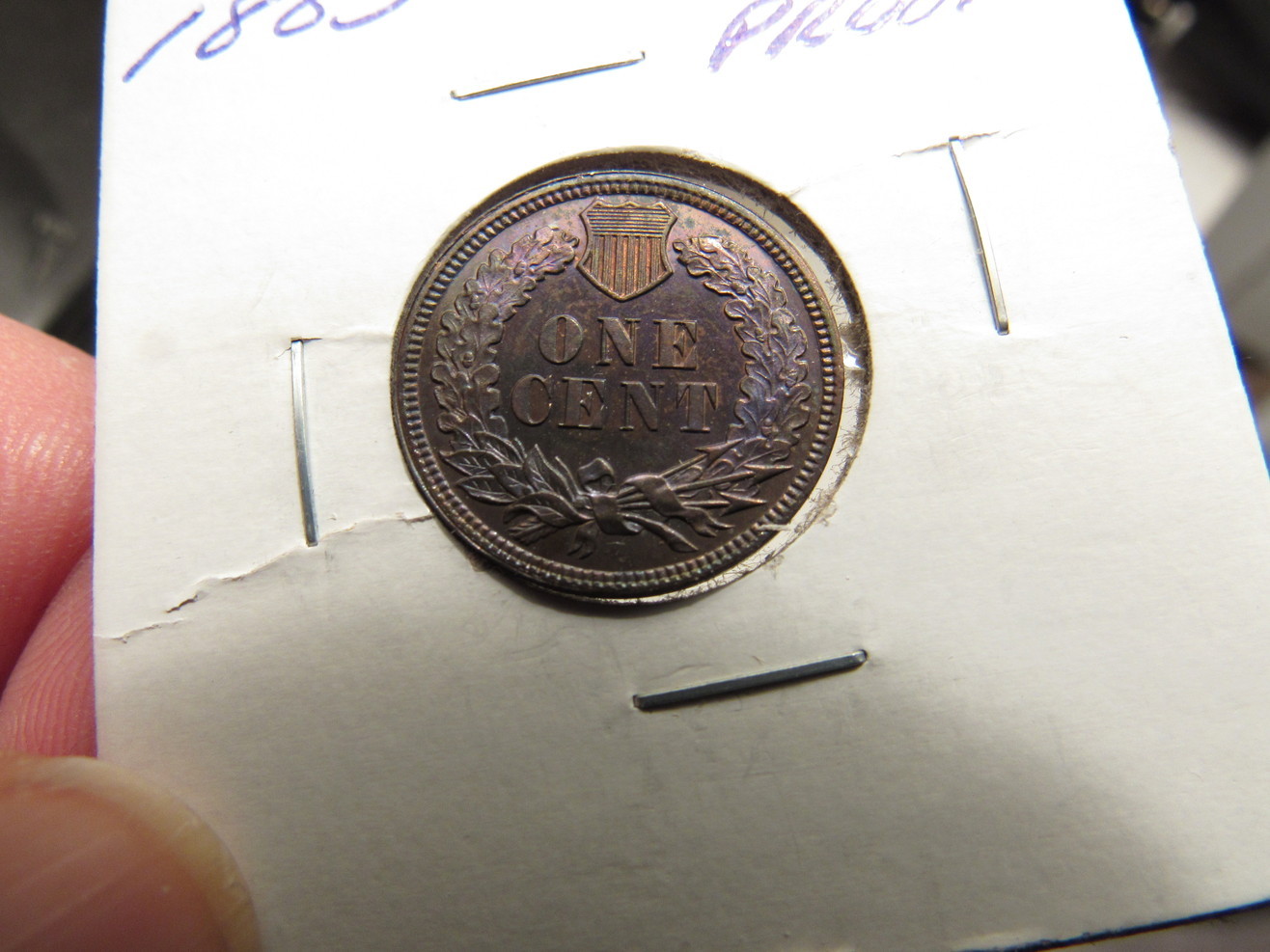 1883-IHP-Proof-Raw-Colorful