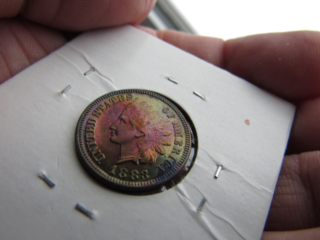 1883-IHP-Proof-Raw-Colorful