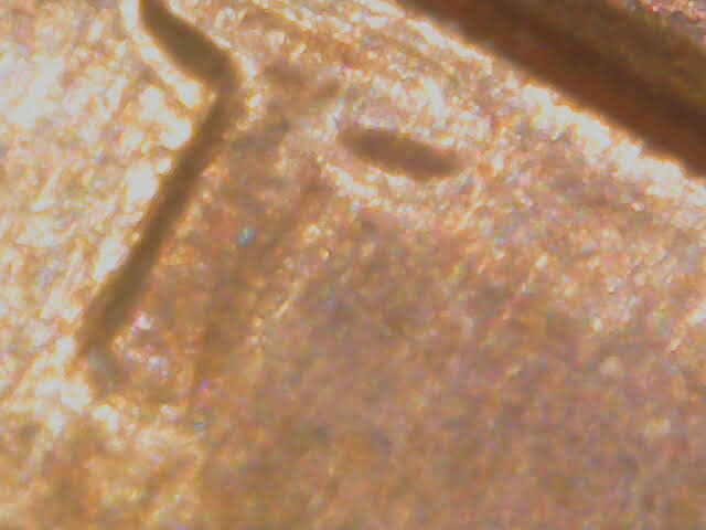 1972-S-LMC-New-Discovery-DDO?
