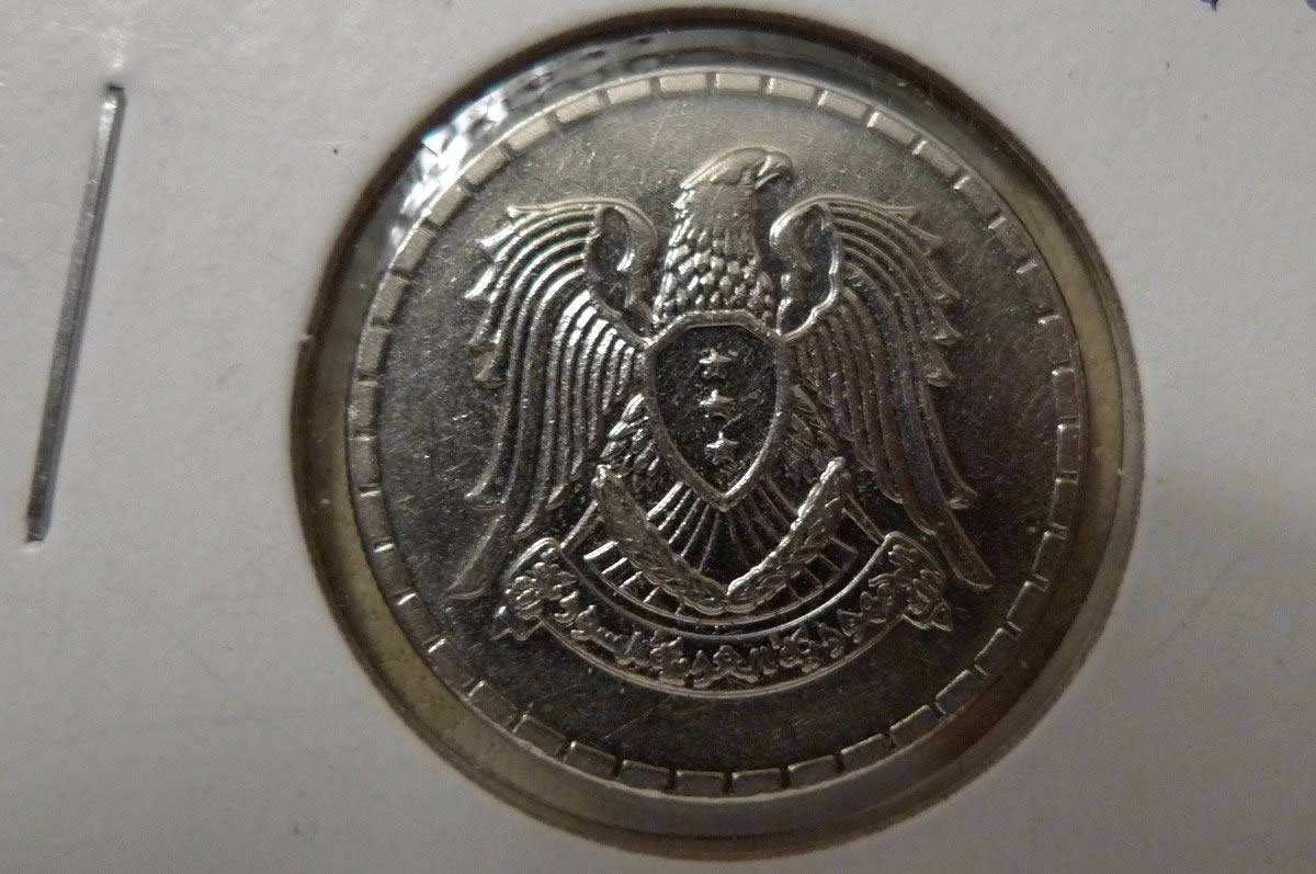What's-Your-Favorite-Eagle?