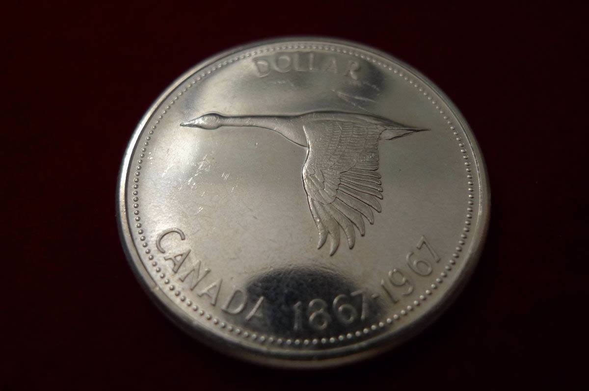 The-31-Days-Of-Canadian-Silver-Dollars