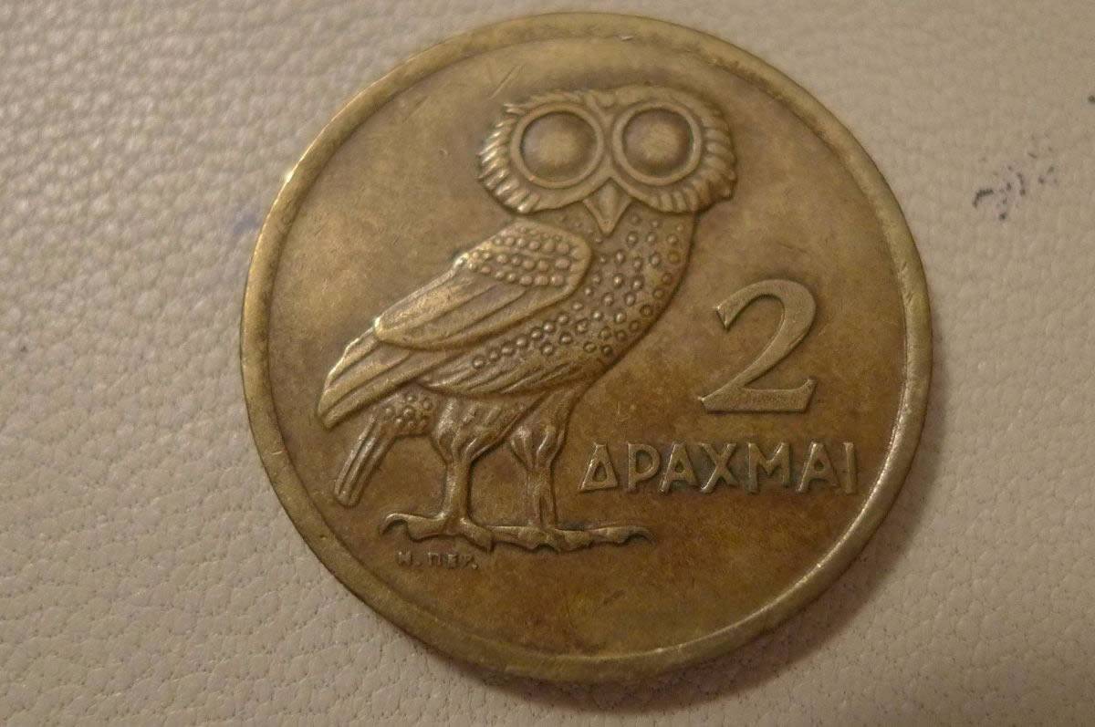 What's-Your-Favorite-Eagle?
