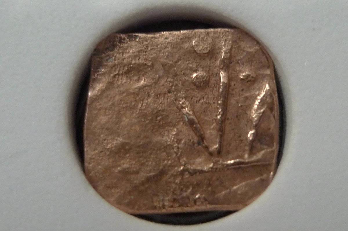 Show-Your-Coins-With-Different-Edges