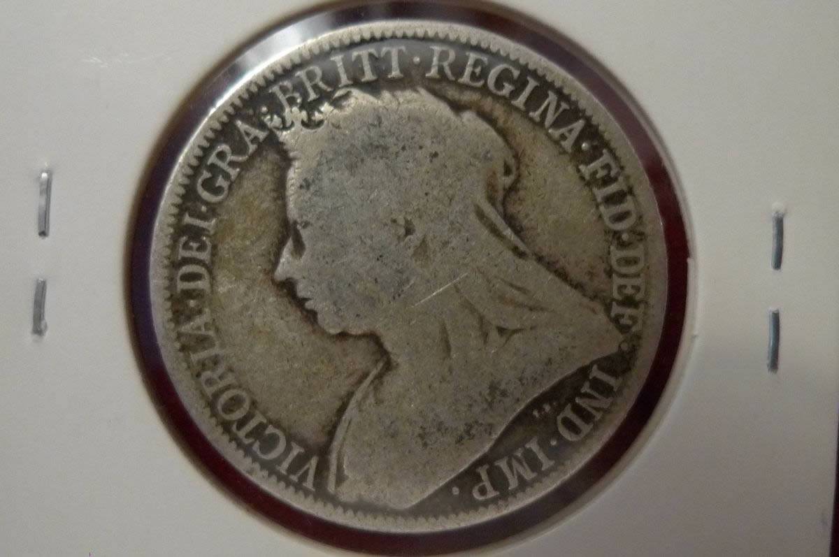 Post-Your-Lion-Coins!