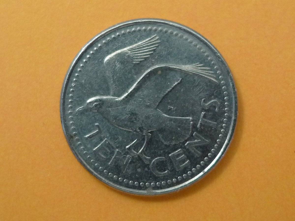 Post-Your-Coins-Representing-The-Animal-Kingdom.