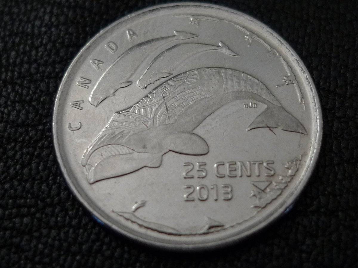 Post-Your-Coins-Representing-The-Animal-Kingdom.