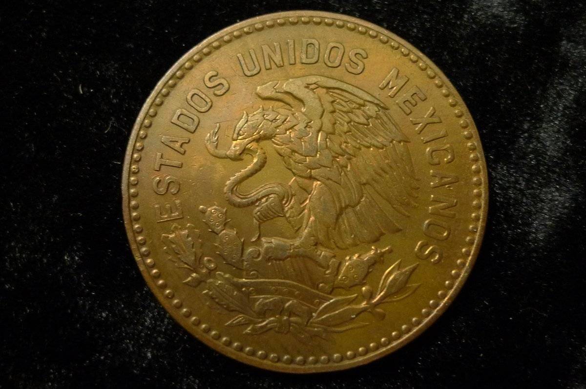 166-Days-Of-Yakko's-World-Coins