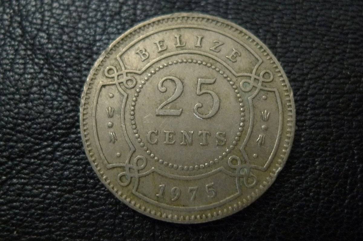 166-Days-Of-Yakko's-World-Coins