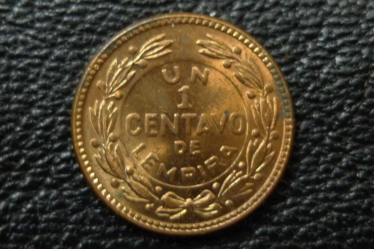 166-Days-Of-Yakko's-World-Coins