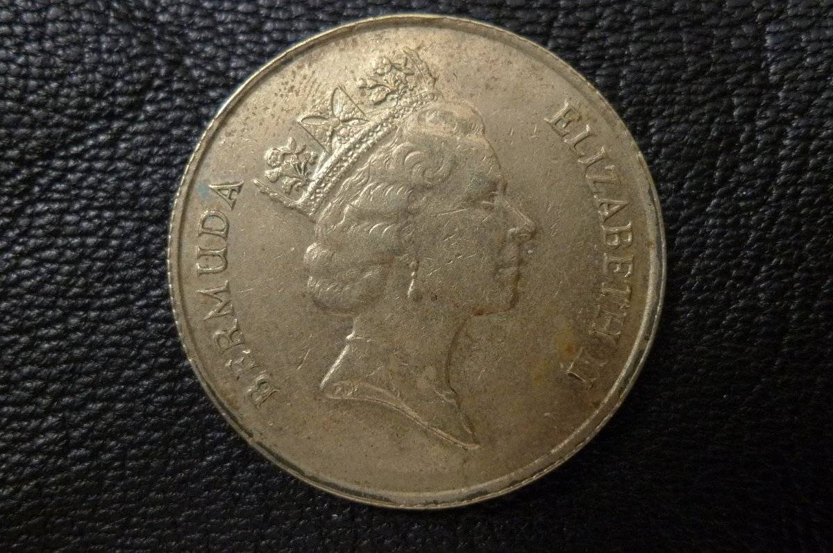 166-Days-Of-Yakko's-World-Coins