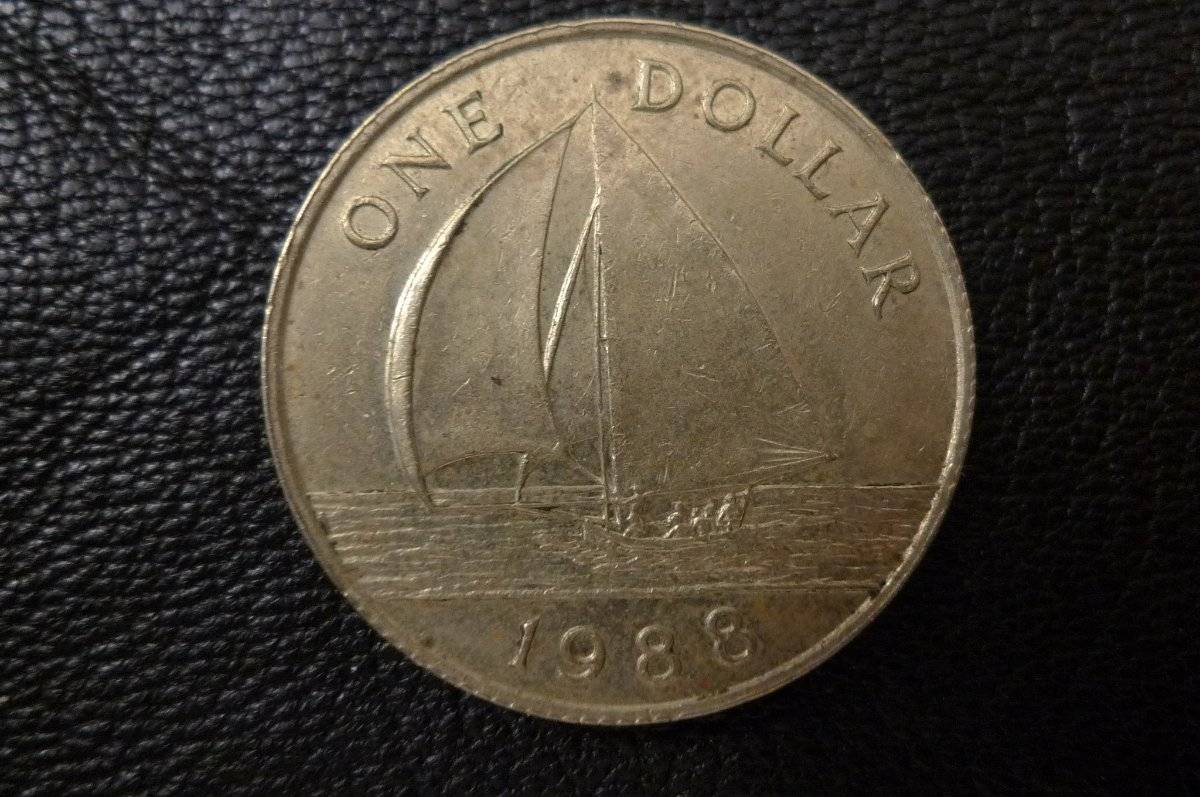 166-Days-Of-Yakko's-World-Coins