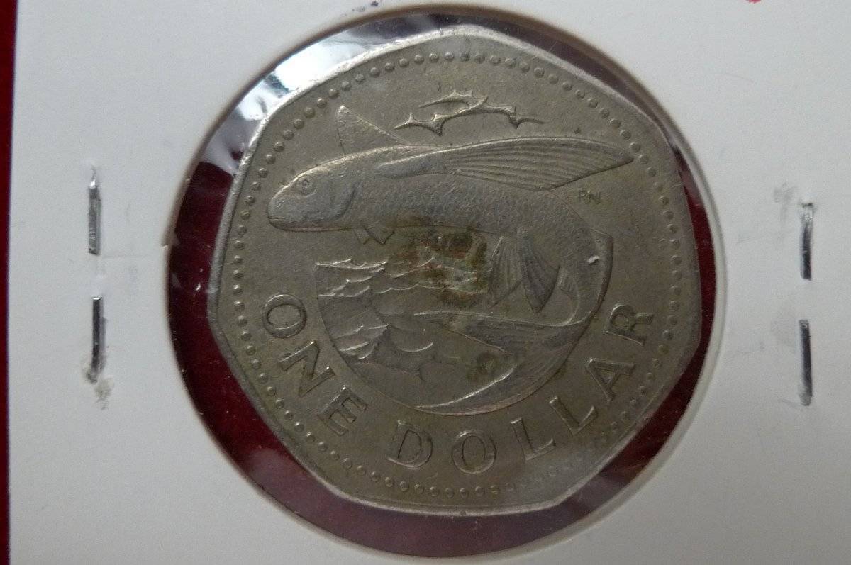 166-Days-Of-Yakko's-World-Coins